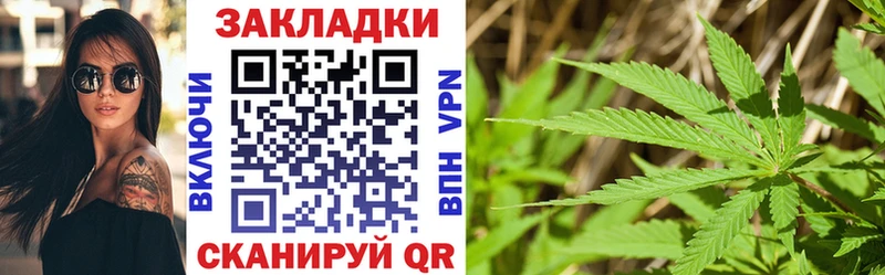 Купить закладку Канабис  Мефедрон  А ПВП  Галлюциногенные грибы  ГАШ  Подпорожье